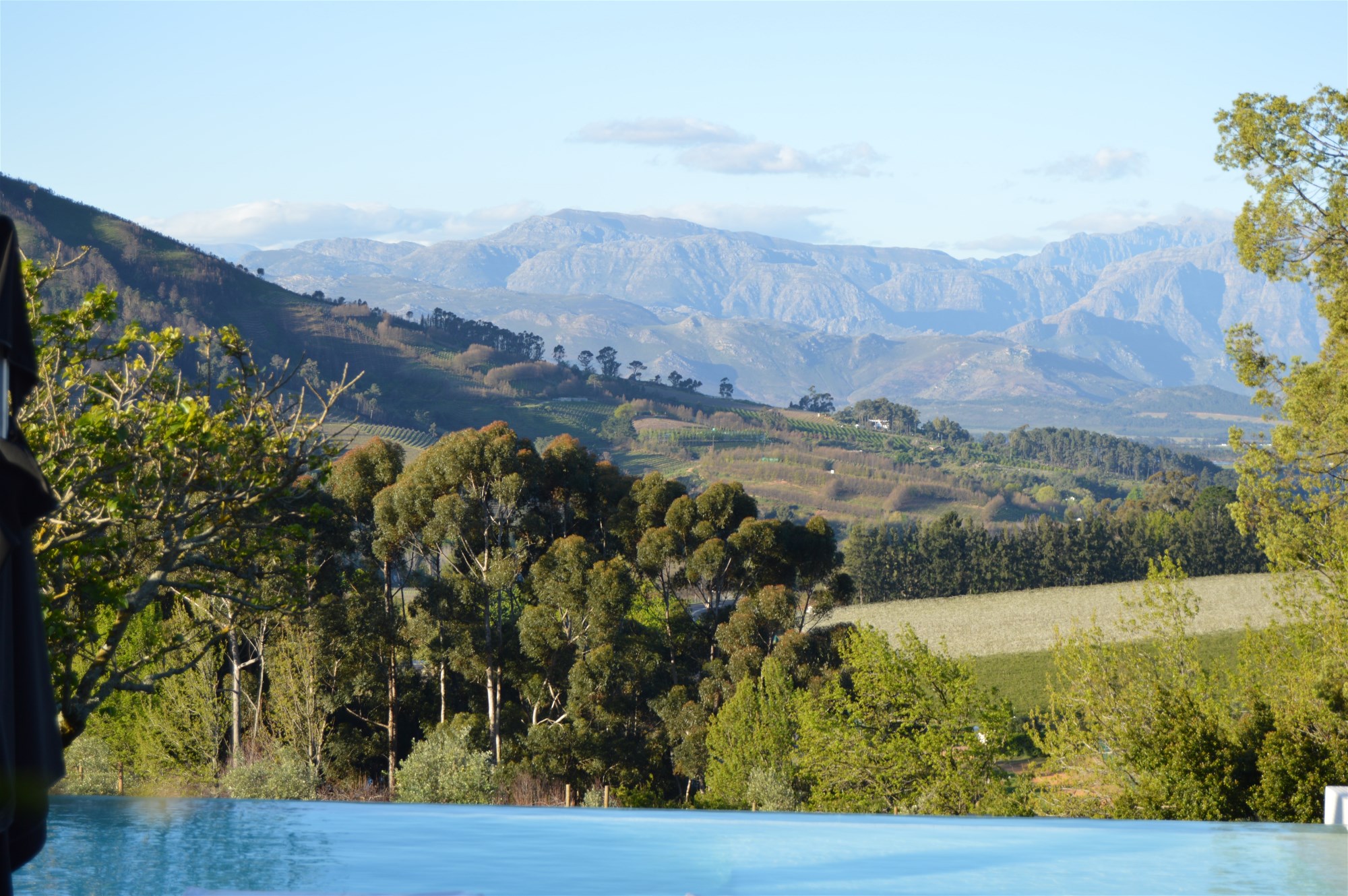 Stellenbosch: 6 Travel Tips from a Local 33