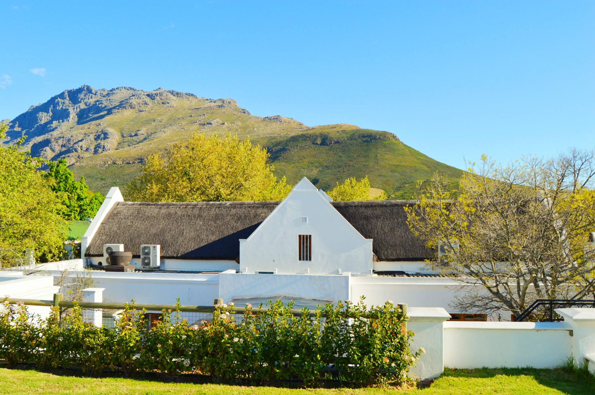 Wine Crush Wednesday: Lanzerac Pionier Pinotage 2013 2
