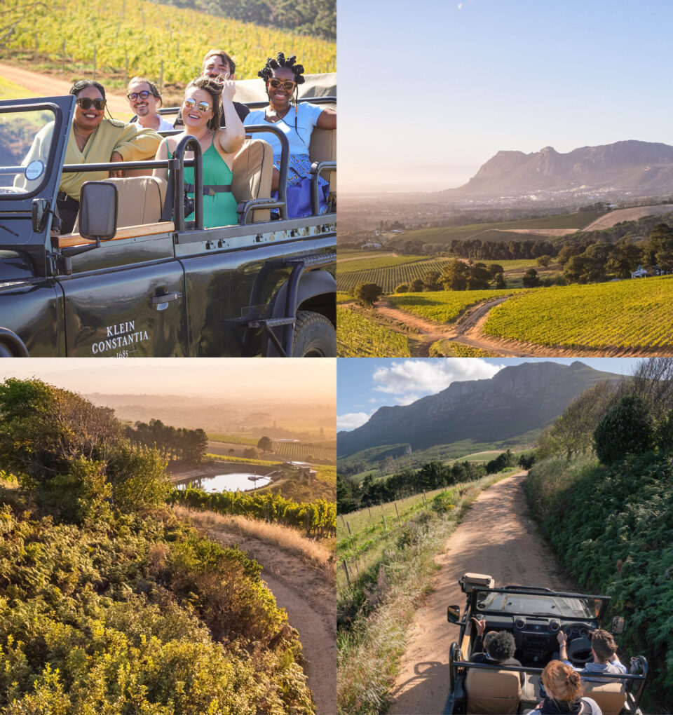 How to become a wine influencer in South Africa